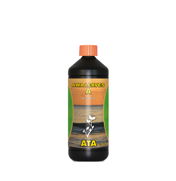 Awa leaves a 1l atami