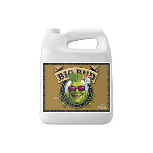Big bud coco 5l advanced nutrients