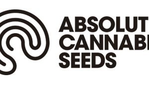 Absolute Herer 1 u fem. Absolute Cannabis Seeds