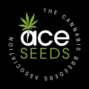 Zamaldelica 1 u. fem. Ace Seeds