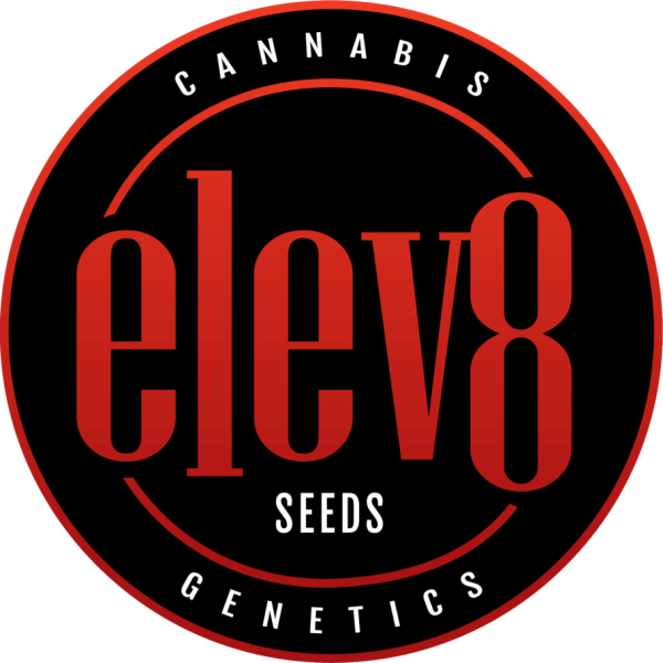 Apple Fritter 6 ud. fem Elev8 Seeds
