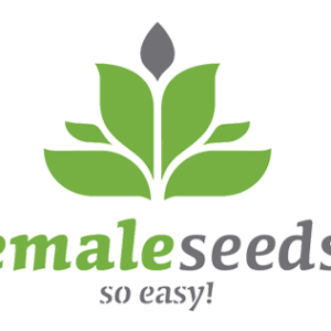 White Widow x Big Bud  4 u. fem. Female Seeds