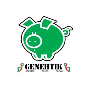 Kritikal Bilbo x AK - 47 - 1 u. fem. Genehtik