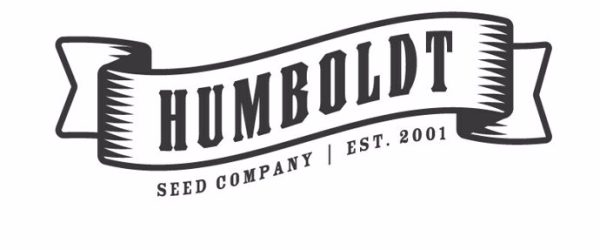 Trainwreck 3 u. Reg. Humboldt