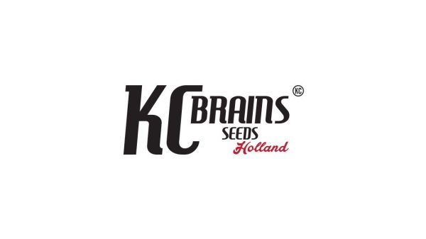 KC 39  -  5 u. reg. KC Brains