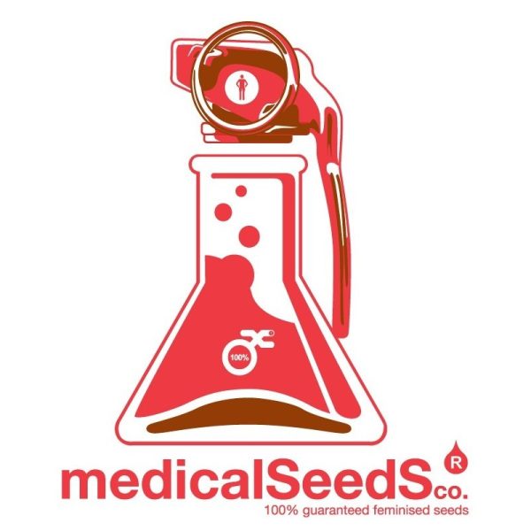 Deep Neville 10 u. reg. Medical Seeds