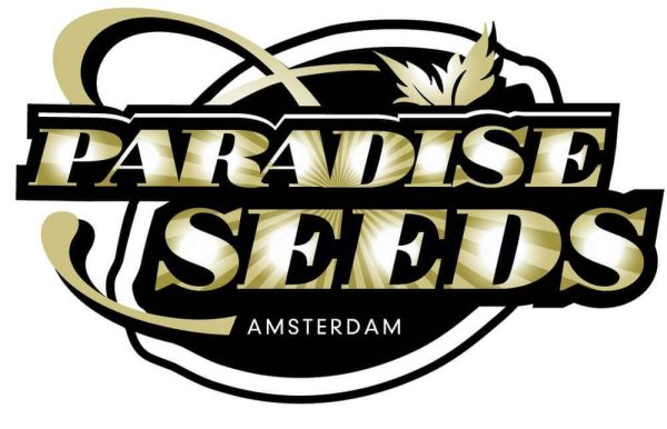 Allkush  5 u. fem. Paradise Seeds