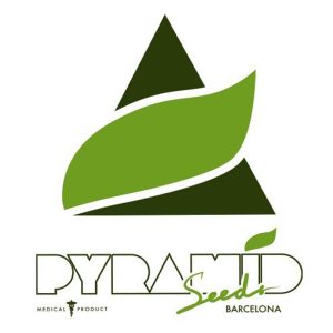 Alpujarre?a  1 u. Blister x 12 u. fem. Pyramid Seeds
