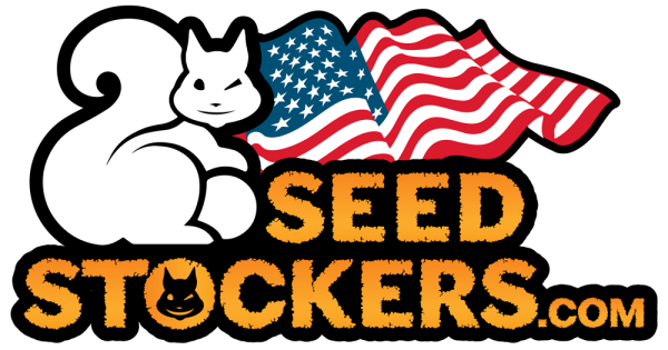 Auto Terp & Tonic fem.  1 u. Seedstockers Superior