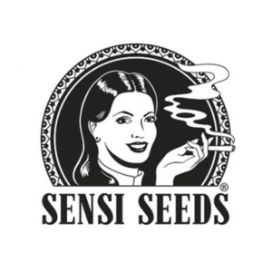 Afghani # 1 - 10 u.  reg. Sensi Seeds