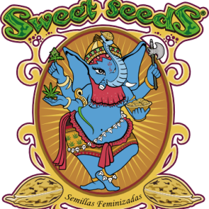 Wild Rose   3+1 u. fem. Sweet Seeds