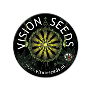 AK-49 3 u. fem. Vision Seeds