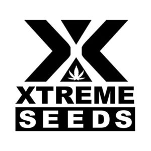 Xtreme Kush 1 u. fem. Xtreme Seeds